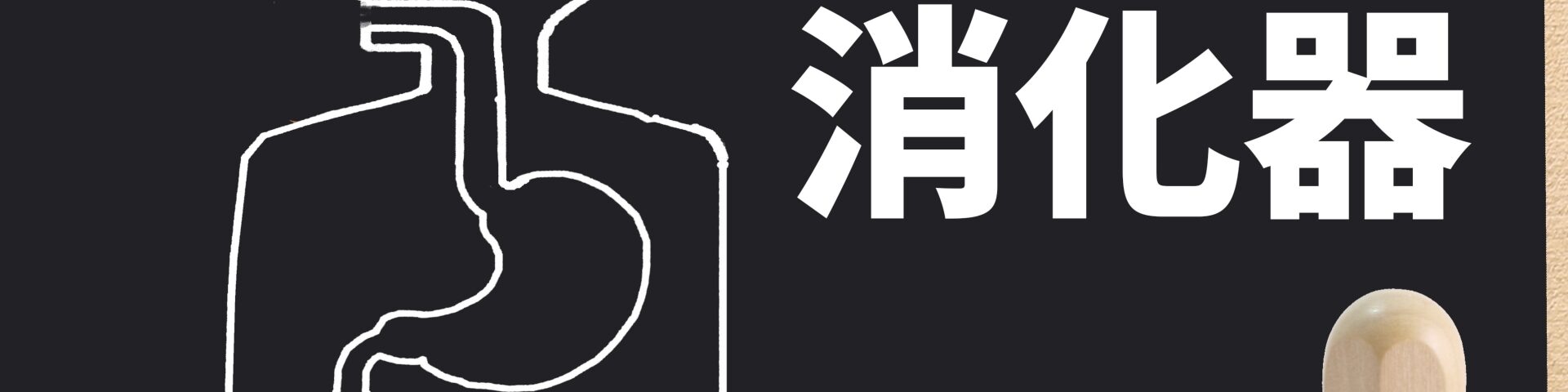 消化器のイメージ
