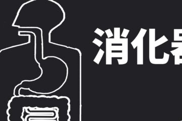 消化器のイメージ